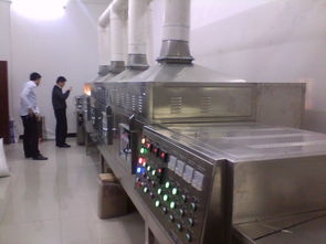 食品添加劑干燥設備全解析 微波與箱式干燥技術(shù)應用及選擇指南